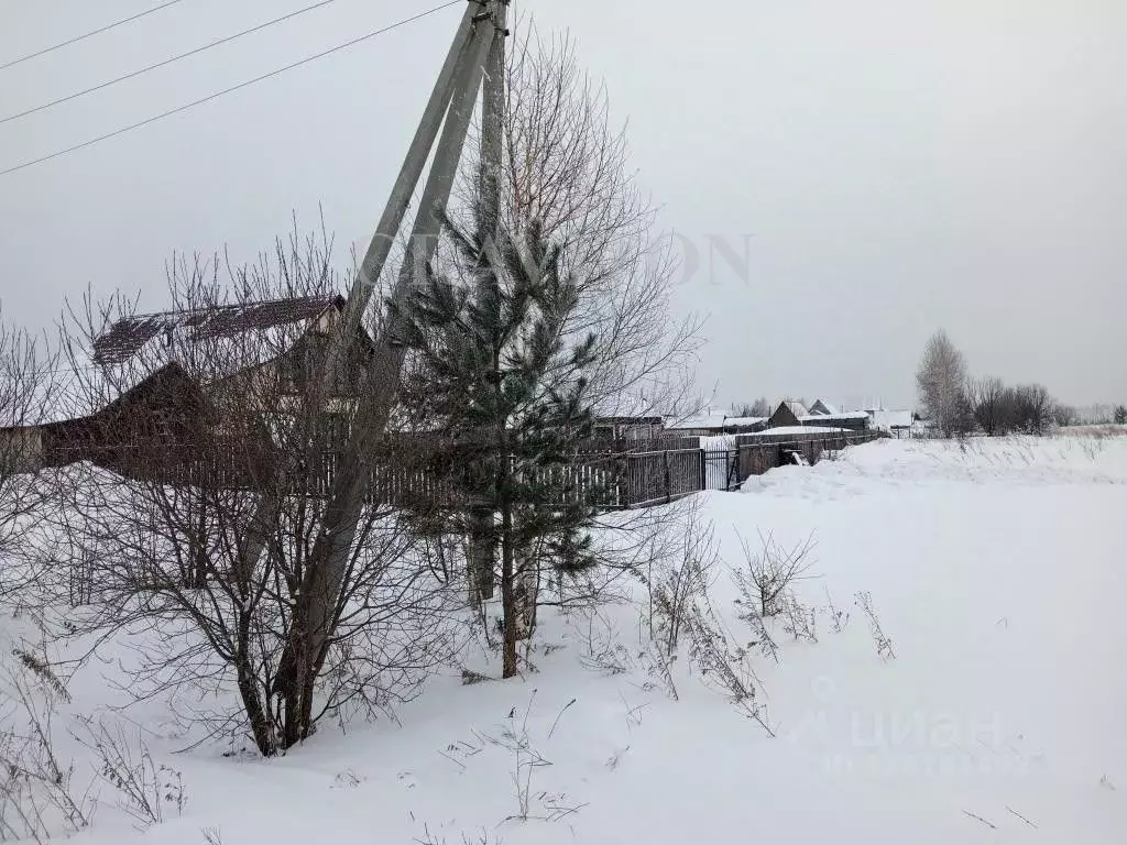 Участок в Алтайский край, Советский район, с. Платово  (12.0 сот.) - Фото 1