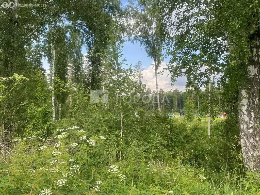 Участок в Барышевский сельсовет, садоводческое некоммерческое ... - Фото 1
