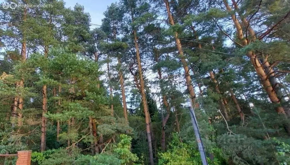 Участок в Московская область, Одинцовский городской округ, КП Лесное ... - Фото 2