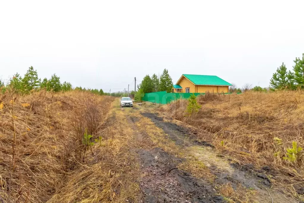 Участок в Тюменская область, Нижнетавдинский район, д. Московка  (10.0 ... - Фото 0