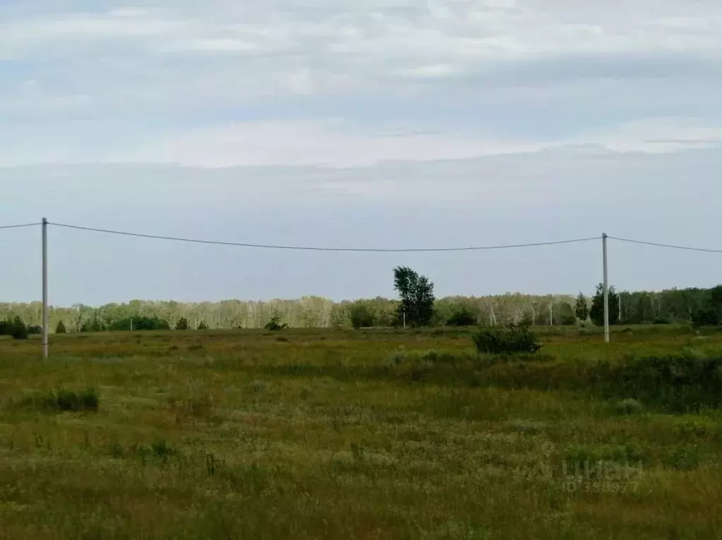 Участок в Омская область, Омский район, с. Усть-Заостровка Заозерная ... - Фото 1