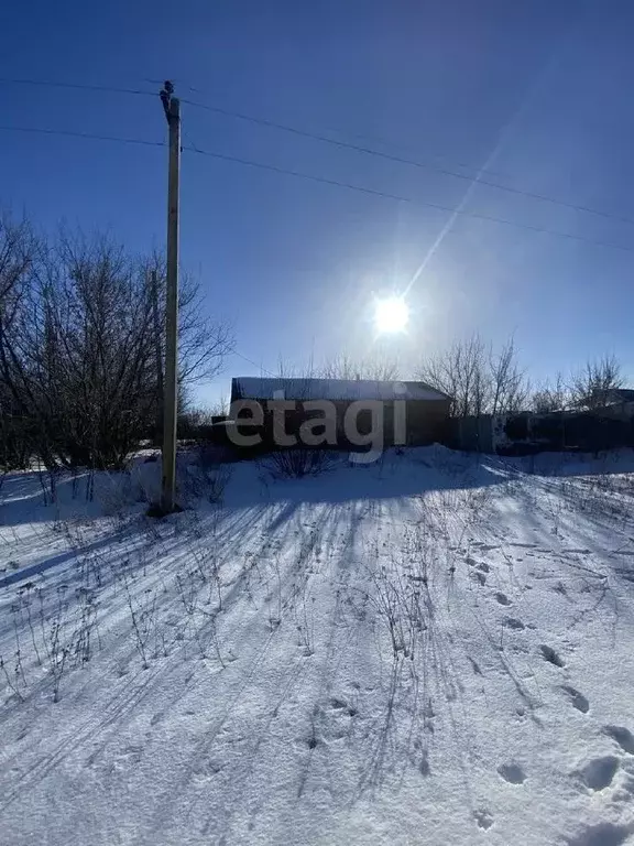 Участок в Воронежская область, Семилукский район, с. Губарево ... - Фото 0