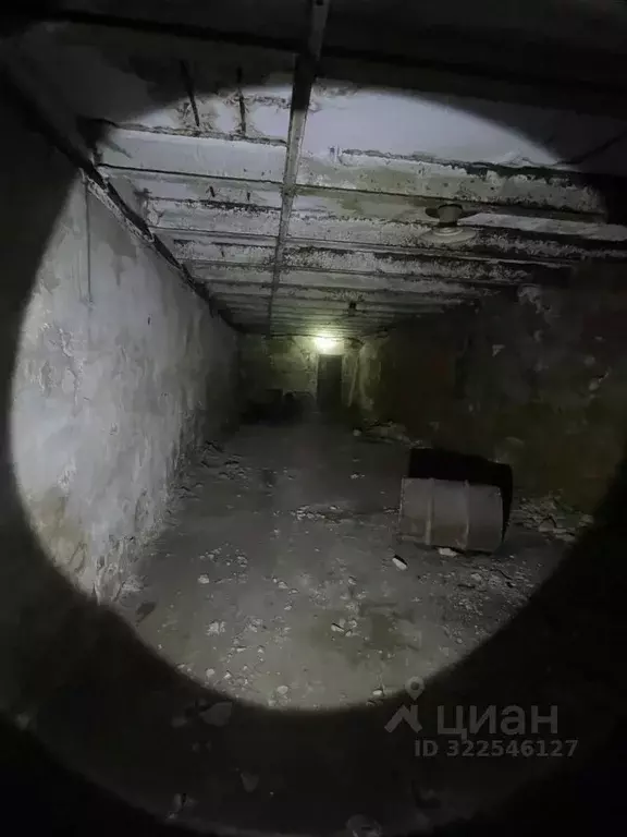 Помещение свободного назначения в Тамбовская область, Тамбов ул. ... - Фото 1