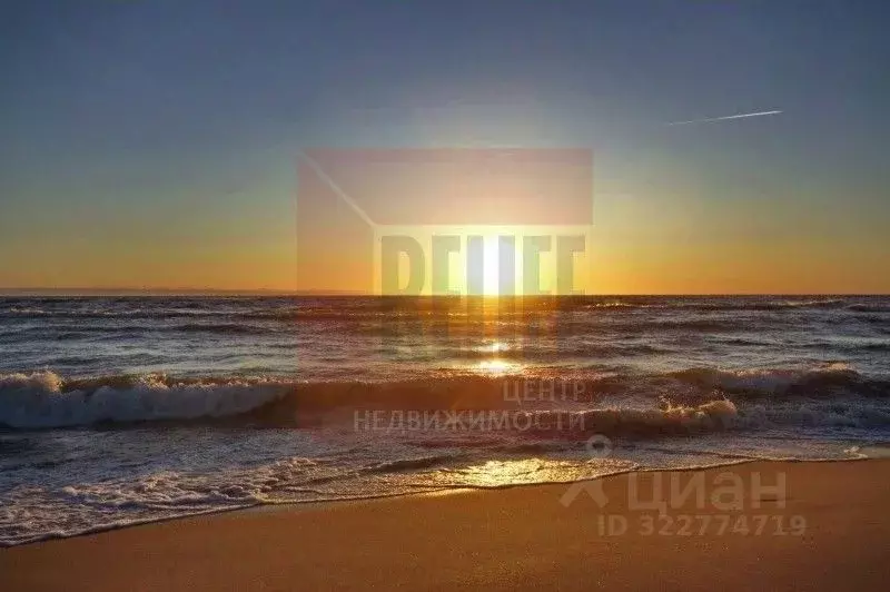 Участок в Калининградская область, Зеленоградск пер. Газонный, 4 (8.0 ... - Фото 0