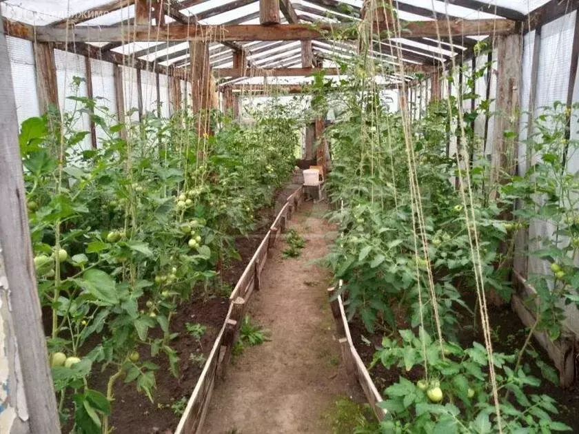 Дом в Тюменская область, Тобольский муниципальный округ, Загваздинское ... - Фото 1