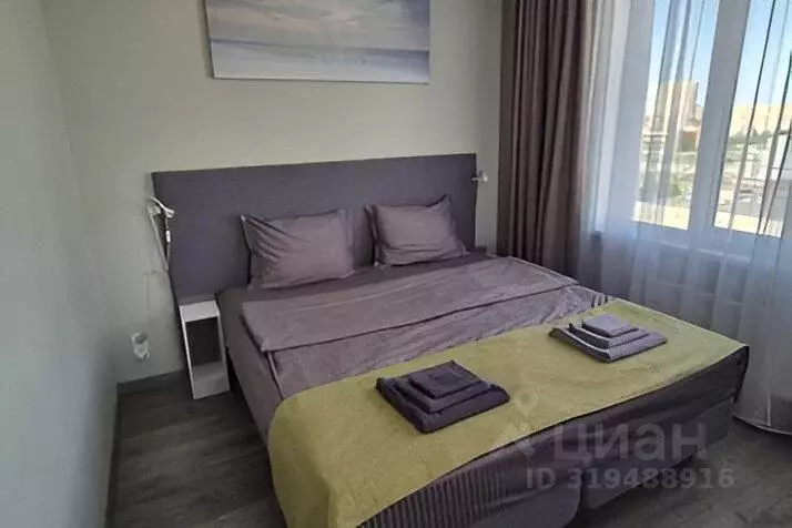 1-к кв. Санкт-Петербург Витебский просп., 101к1 (29.0 м) - Фото 1