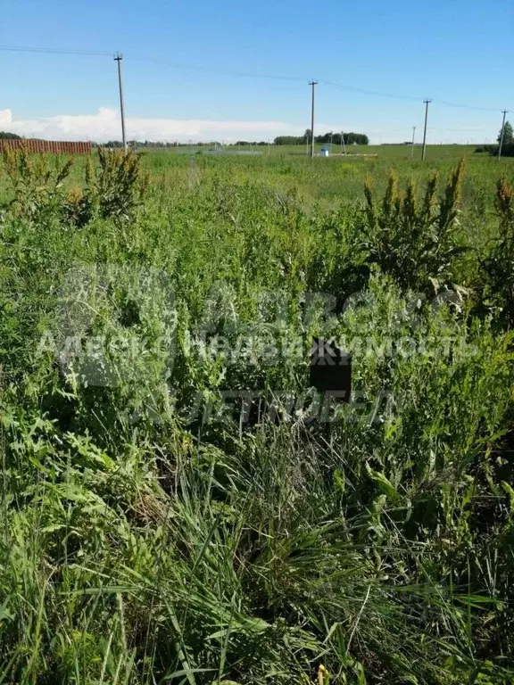 Участок в Тюменская область, Тюменский муниципальный округ, с. ... - Фото 2