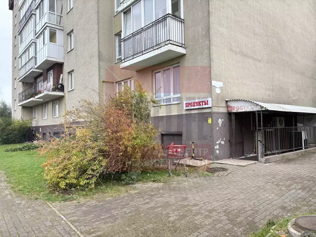 Помещение свободного назначения в Калининградская область, Калининград ... - Фото 1