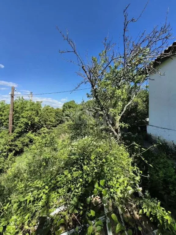 Участок в Краснодарский край, Новороссийск Интернациональная ул. (5.1 ... - Фото 1