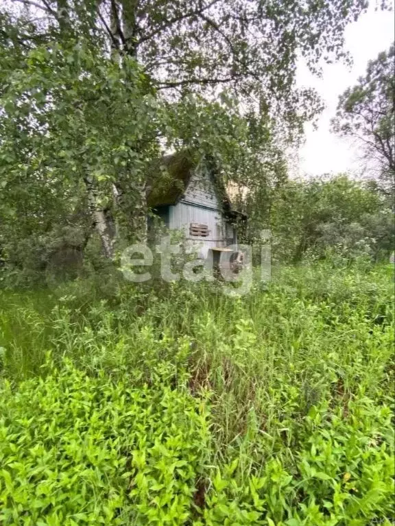 Участок 18 сот. (СНТ, ДНП) - Фото 0