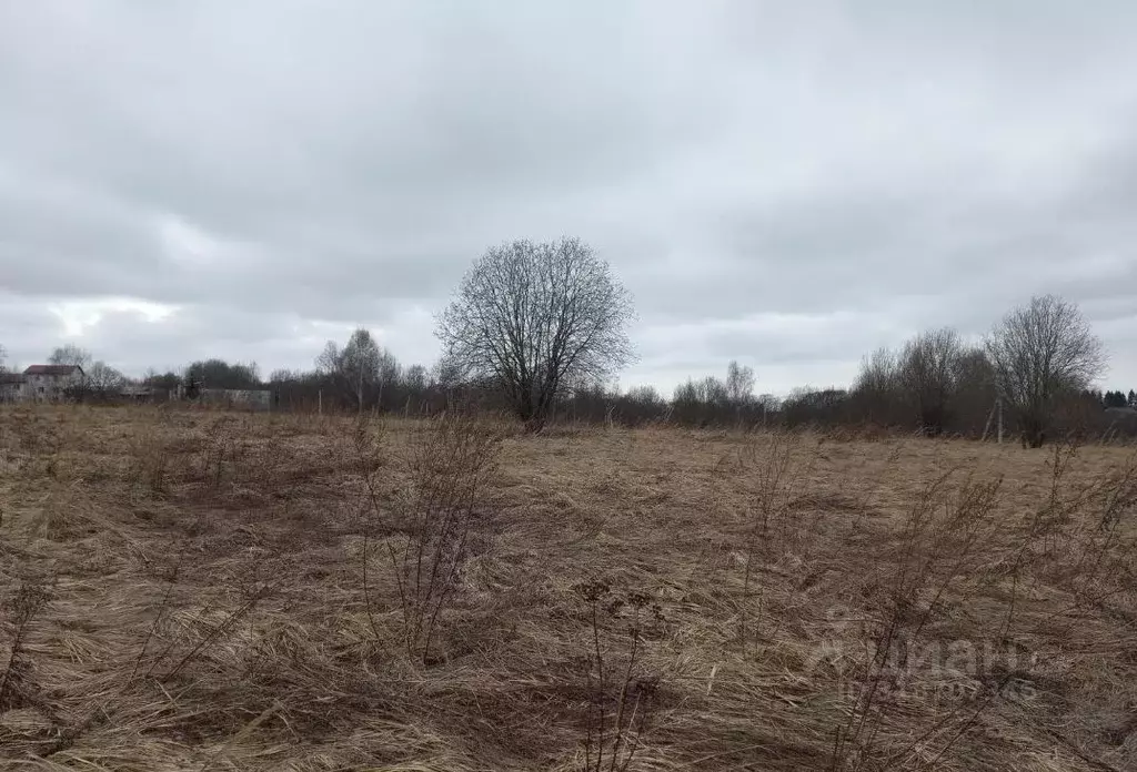 Участок в Московская область, Дмитровский муниципальный округ, д. ... - Фото 0