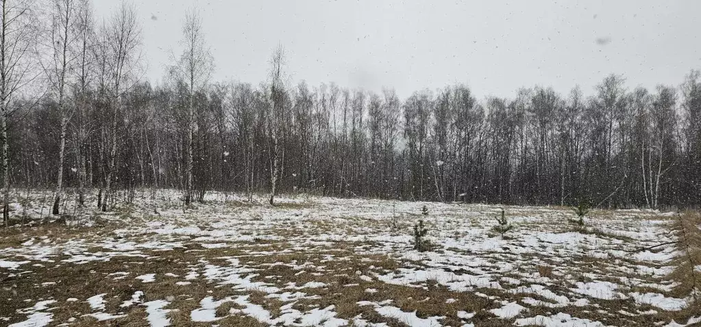 Участок в Московская область, Луховицы муниципальный округ, д. Берхино ... - Фото 0
