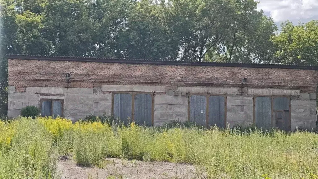 Помещение свободного назначения в Хакасия, Абакан Белоярская ул., 58 ... - Фото 1