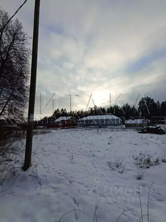 Участок в Ленинградская область, Ломоносовский район, Горбунковское ... - Фото 0