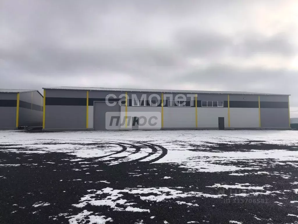 Склад в Московская область, Домодедово городской округ, с. Красный ... - Фото 1