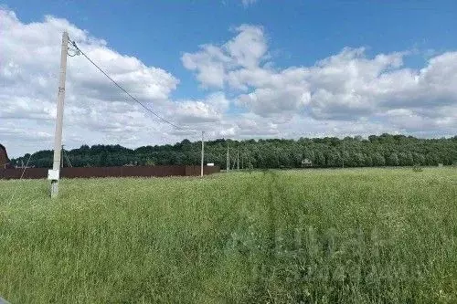 Участок в Новгородская область, Новгородский район, Ермолинское с/пос, ... - Фото 1