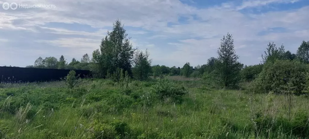 Участок в Судогда, Фестивальная улица, 19 (19.4 м) - Фото 1