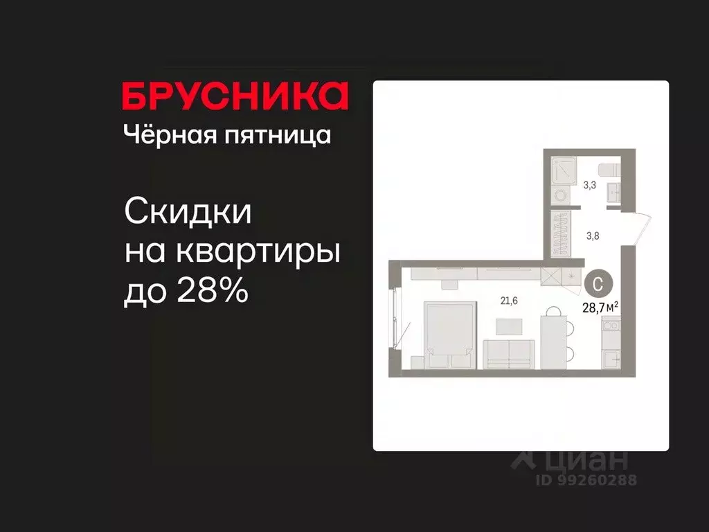 Студия Свердловская область, Екатеринбург пер. Торфяной, 4 (28.7 м) - Фото 1