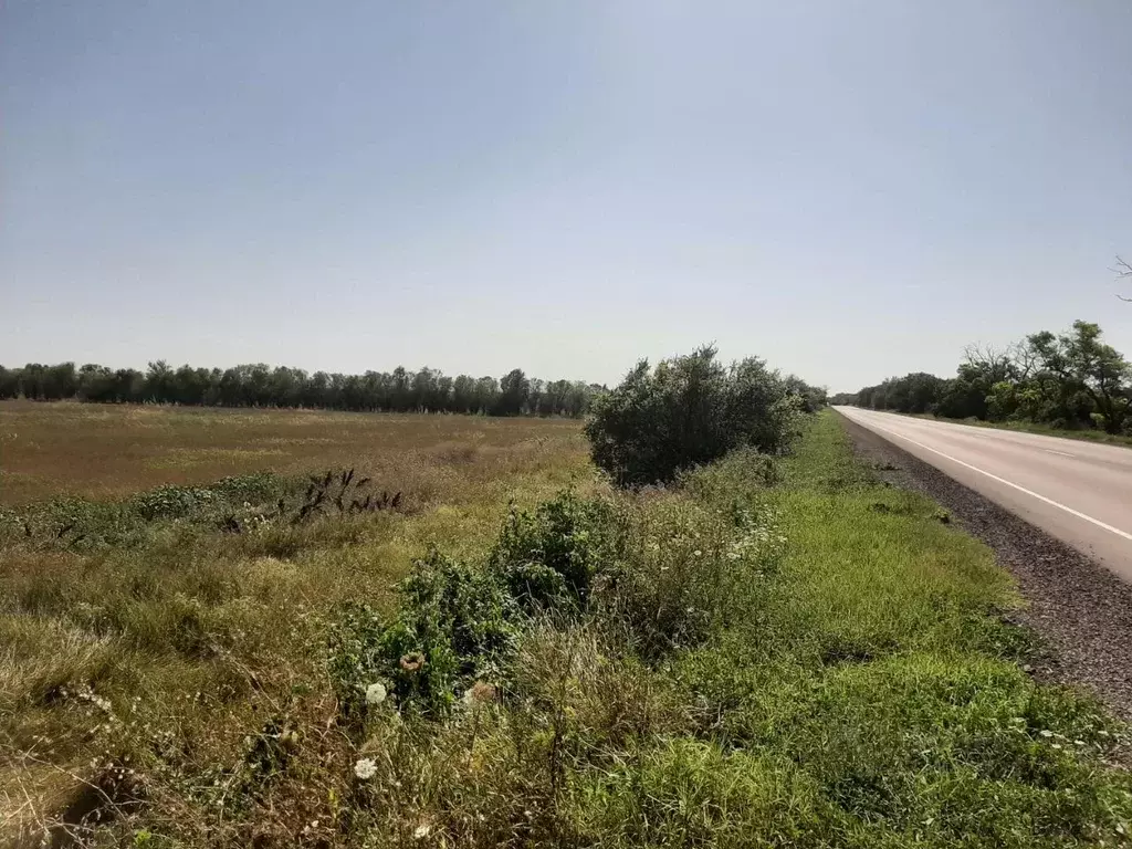 Участок в Крым, Черноморский район, Новосельское с/пос  (22000.0 сот.) - Фото 1