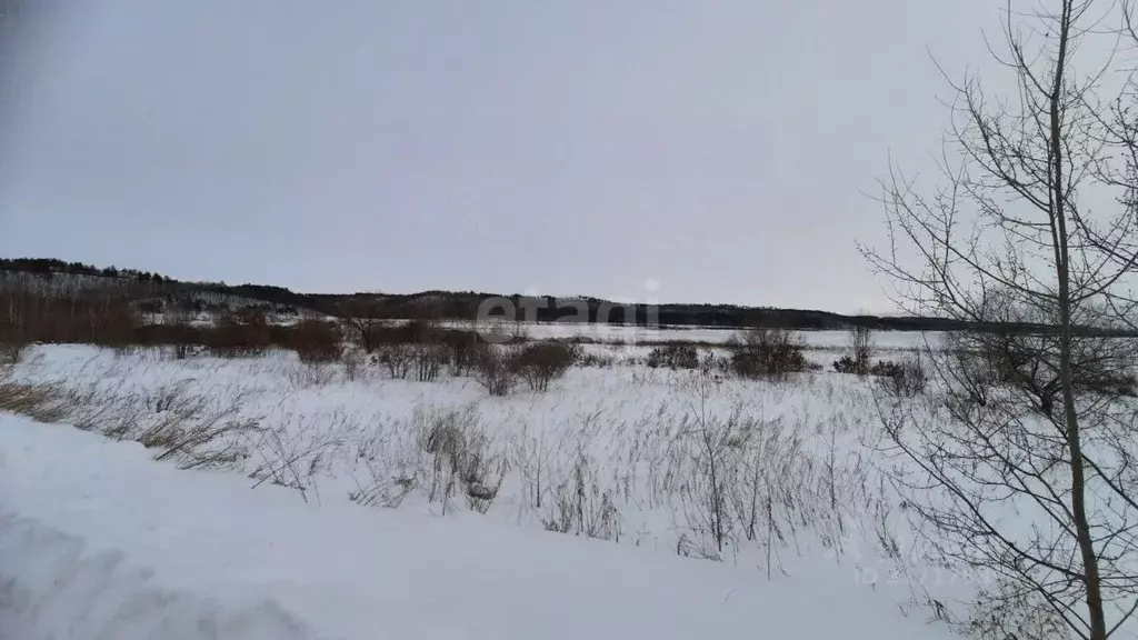 Участок в Амурская область, Благовещенский район, с. Кантон-Коммуна  ... - Фото 0