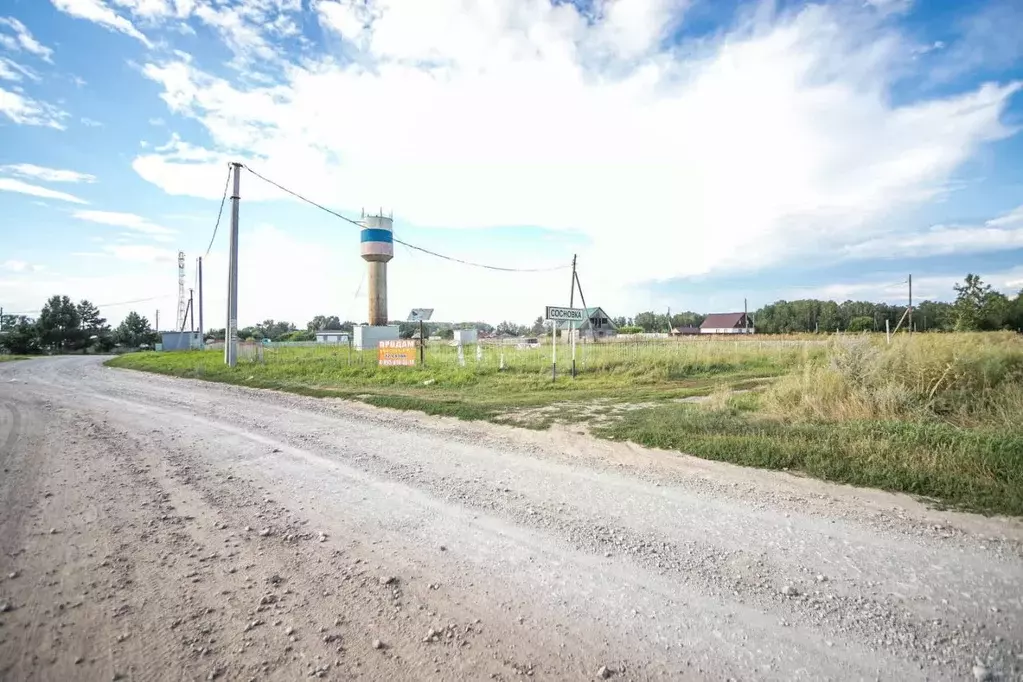 Участок в Новосибирская область, Новосибирский район, Кубовинский ... - Фото 1