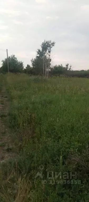 Участок в Челябинская область, Копейск Шахтер СНТ,  (8.0 сот.) - Фото 0