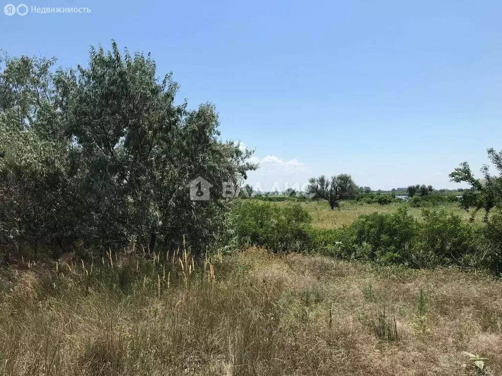 Участок в Азовский район, хутор Рогожкино (30 м) - Фото 0