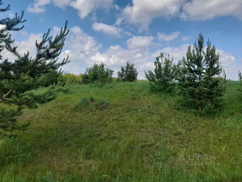 Участок в Псковская область, Опочецкий муниципальный округ, д. ... - Фото 2