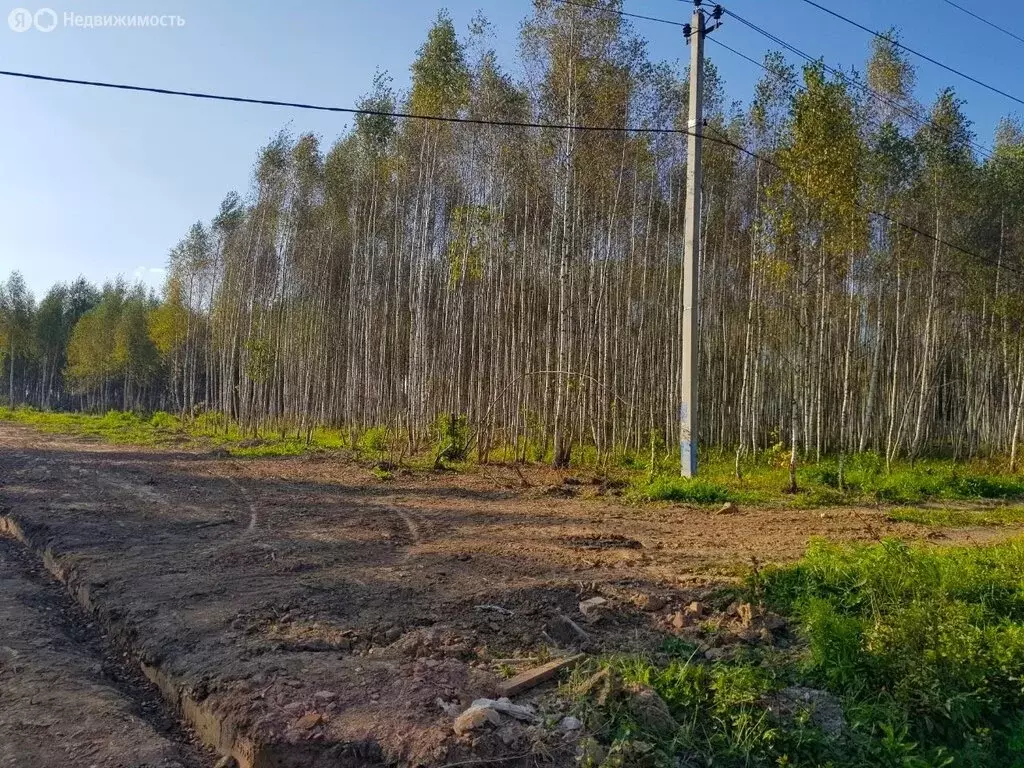 Участок в Дмитровский городской округ, деревня Афанасово-3 (8 м) - Фото 1