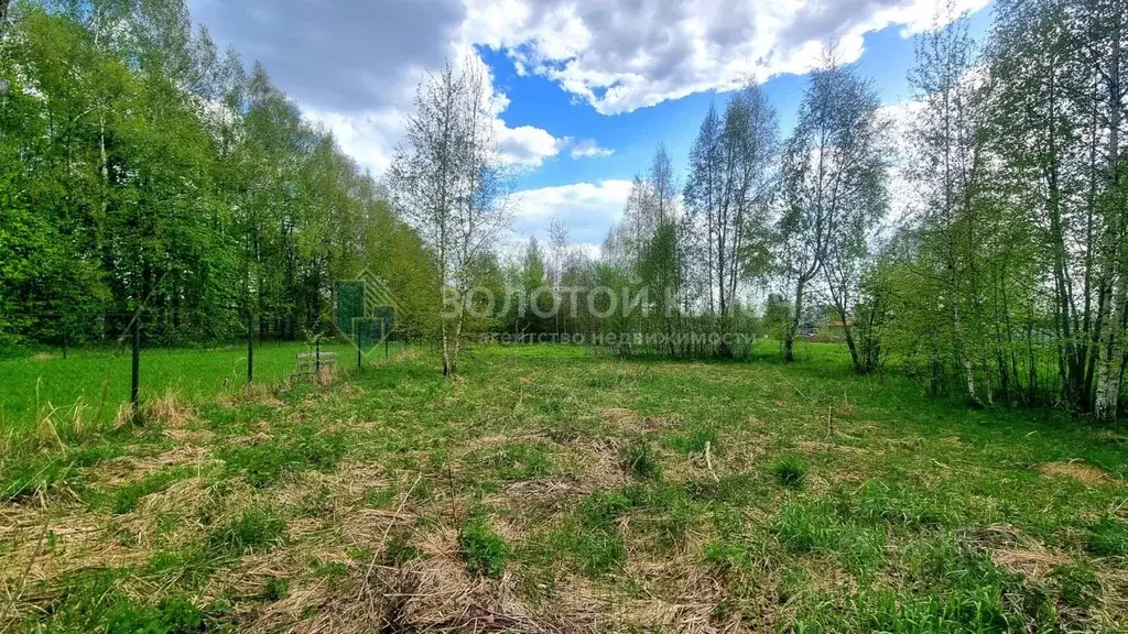 Участок в Московская область, Дмитровский муниципальный округ, с. ... - Фото 0