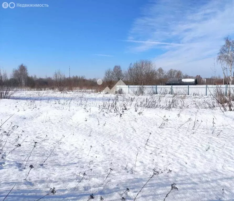 Участок в Вологодская область, Междуреченский муниципальный округ, ... - Фото 2