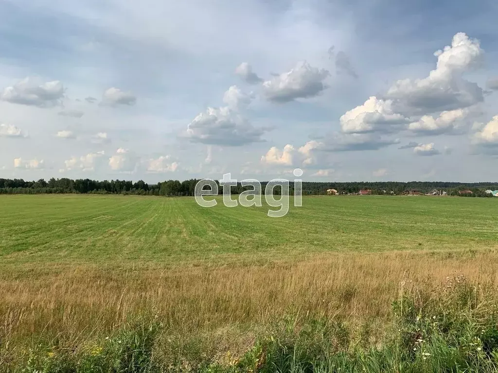 Участок в Свердловская область, Нижний Тагил с. Ольховка,  (10.0 сот.) - Фото 0