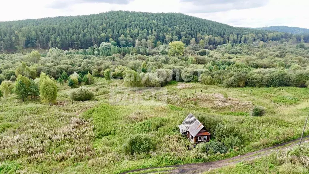 Участок в Челябинская область, Нязепетровск пос. Ураимские Томилки, ... - Фото 1