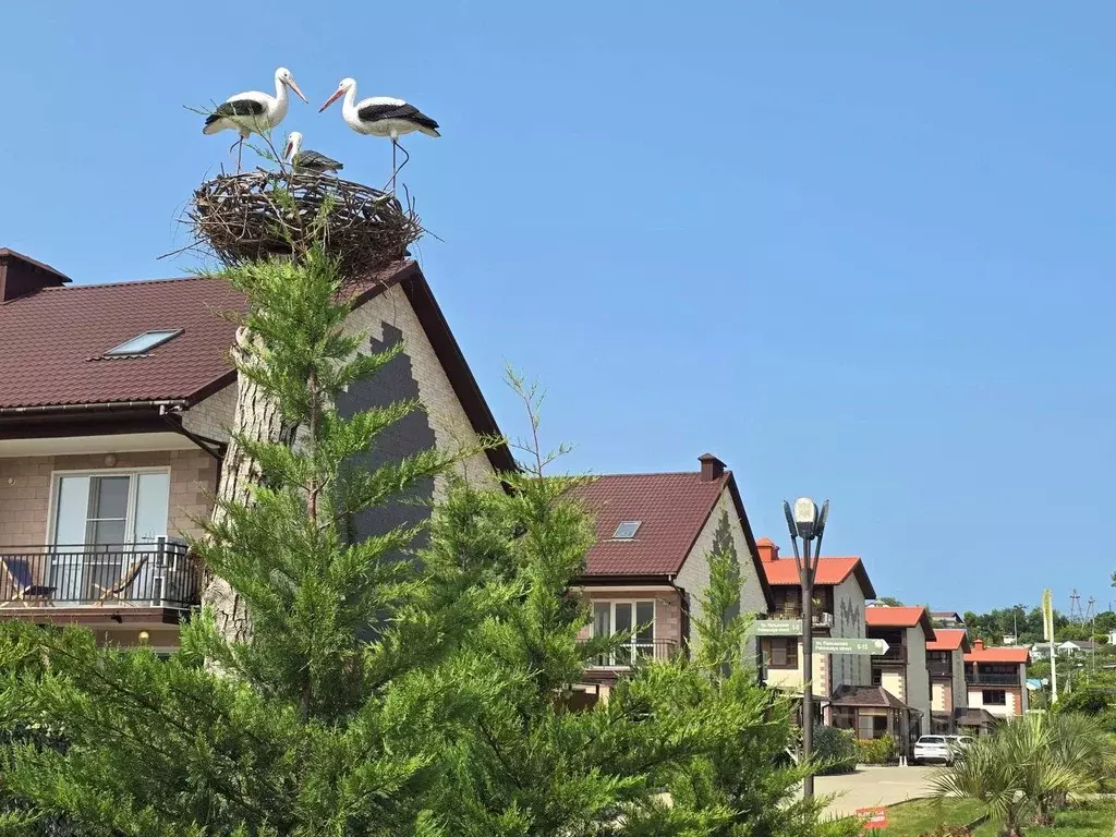 Таунхаус в Краснодарский край, Сочи ул. Романтиков (88 м) - Фото 1