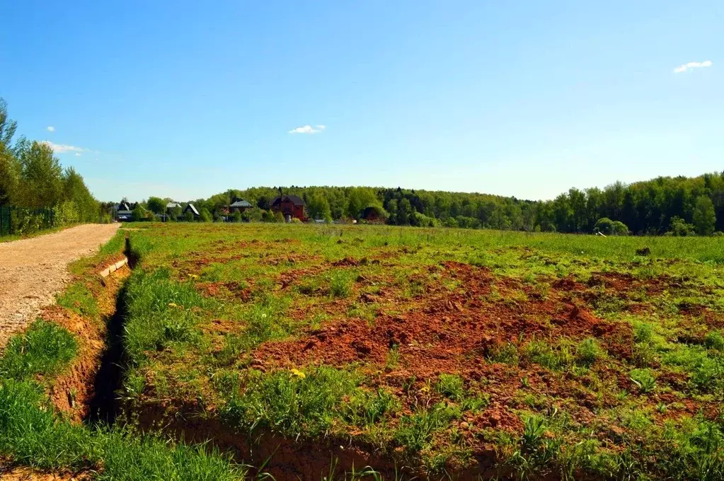 Участок в Московская область, Подольск городской округ, Пузиково кп 58 ... - Фото 2