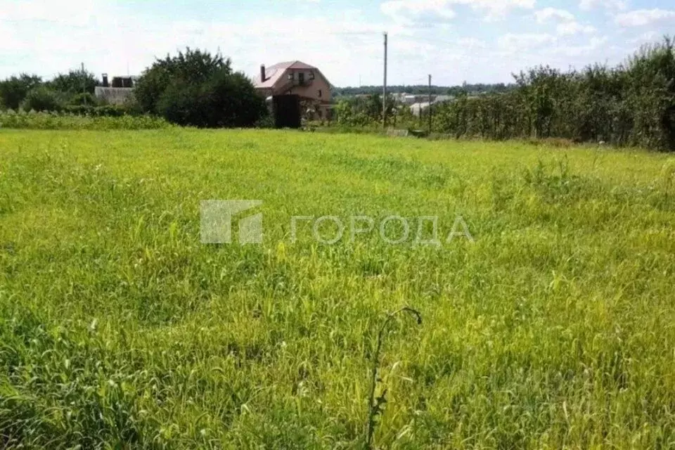 Участок в Новосибирская область, Новосибирский район, Морской ... - Фото 1
