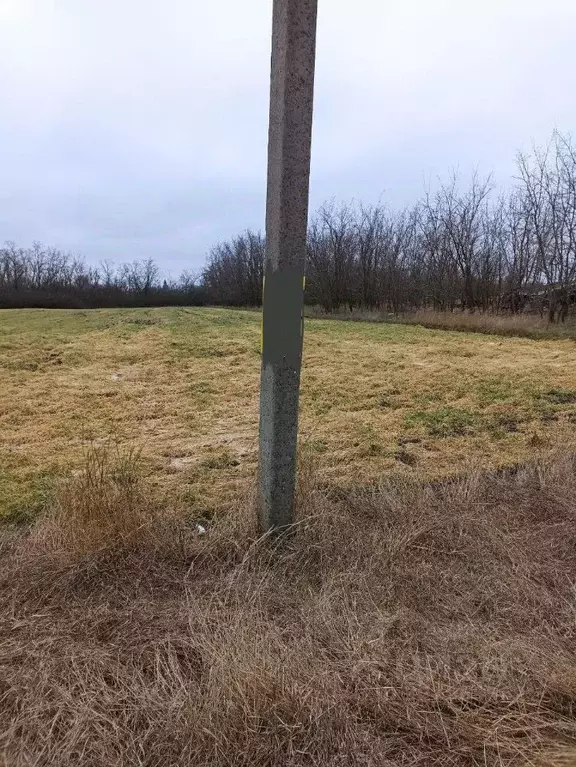 Участок в Ростовская область, с. Песчанокопское ул. Красная, 7А (64.76 ... - Фото 1