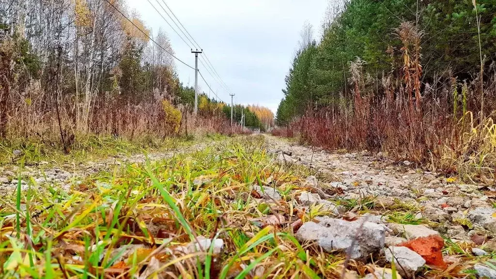 Участок в Кировская область, Слободской район, Шиховское с/пос, д. ... - Фото 0