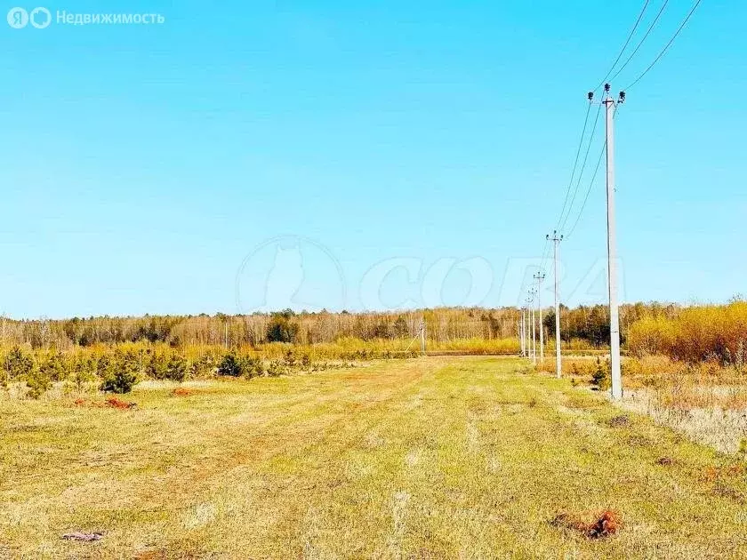 Участок в Тюменский район, село Каменка (8 м) - Фото 0