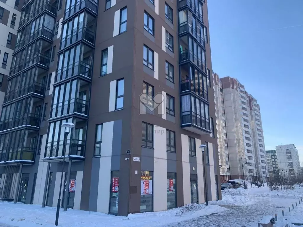 Торговая площадь в Ленинградская область, Всеволожский район, д. Новое ... - Фото 1