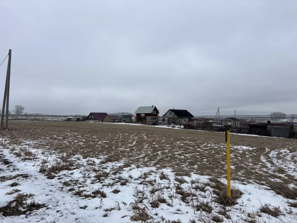 Участок в Алтайский край, Барнаул городской округ, пос. Центральный ... - Фото 1