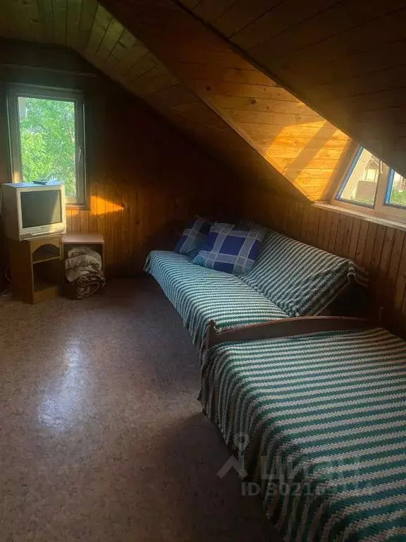 Комната Краснодарский край, Анапа ул. Тургенева, 221А - Фото 1