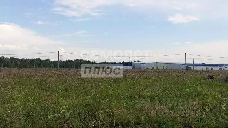 Участок в Тюменская область, Тюменский муниципальный округ, с. ... - Фото 1