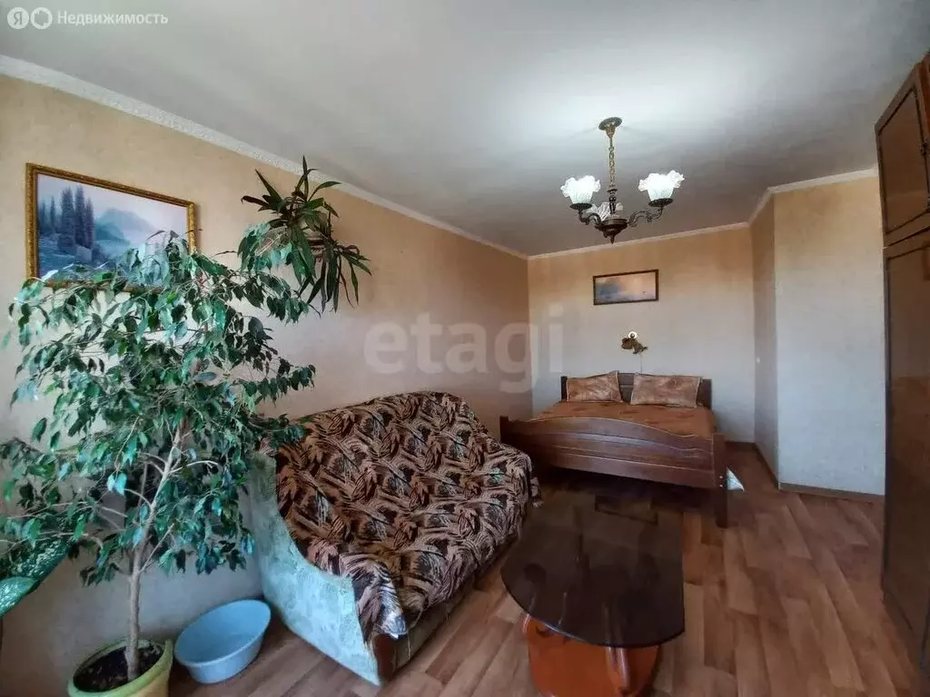 1-комнатная квартира: Севастополь, улица Ефремова, 26 (29.6 м) - Фото 0