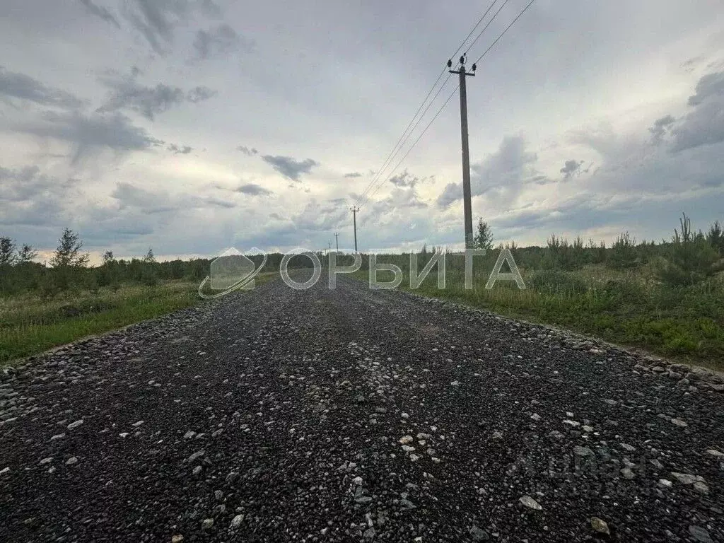 Участок в Тюменская область, Тюменский район, д. Малиновка, Малиновка ... - Фото 1