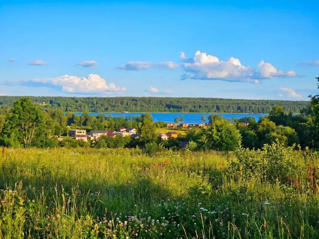 Участок в Ленинградская область, Приозерский район, Петровское с/пос  ... - Фото 1