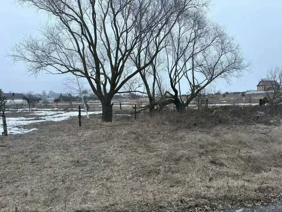 Участок в Липецкая область, Липецк Желтые Пески мкр, ул. Луговая (10.0 ... - Фото 2