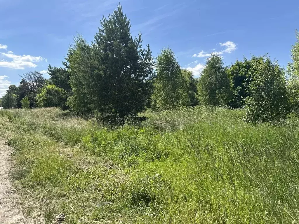 Участок в Московская область, Ступино городской округ, с. Мышенское  ... - Фото 1