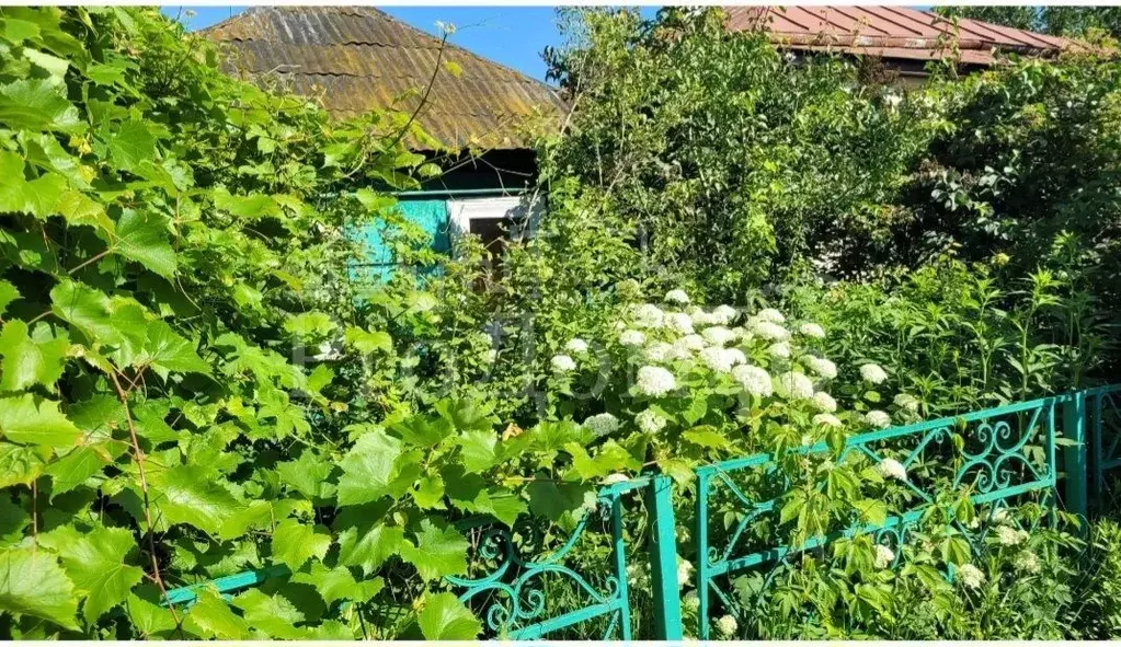 Дом в Курская область, Курск  (42 м) - Фото 0