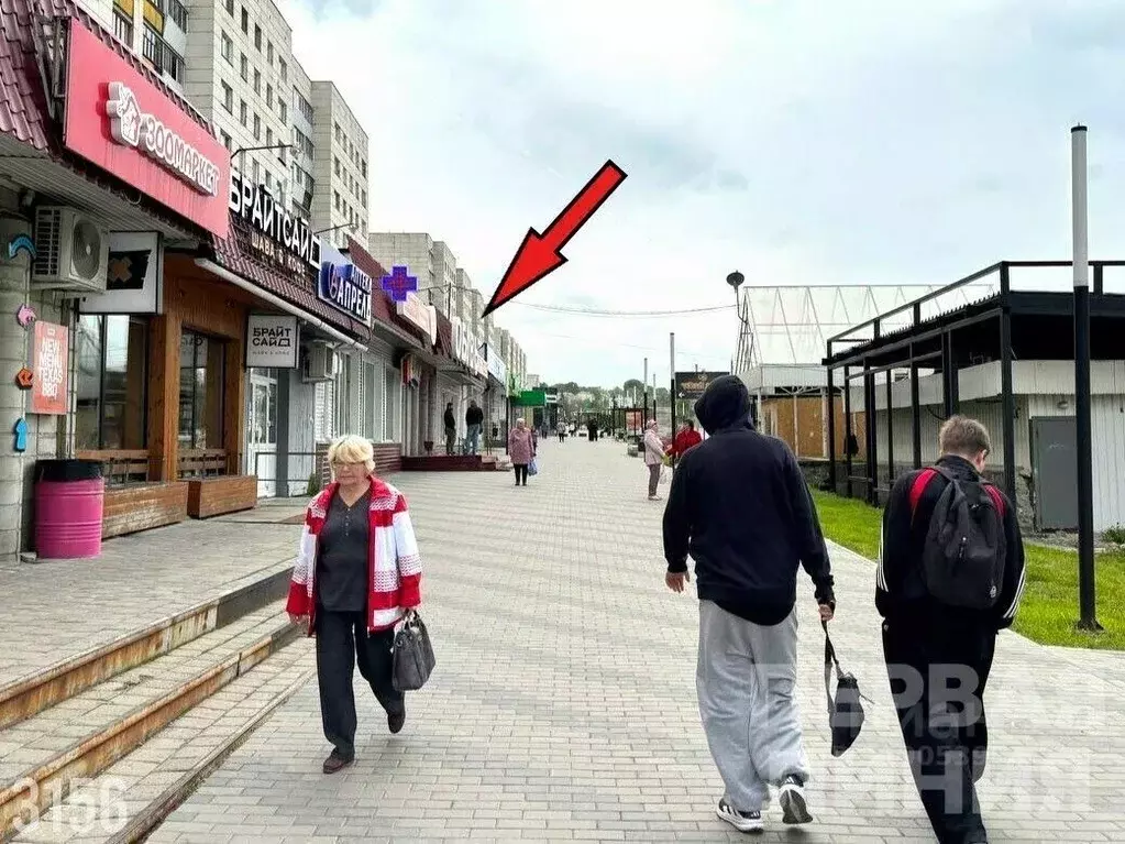 Помещение свободного назначения в Челябинская область, Златоуст просп. ... - Фото 1